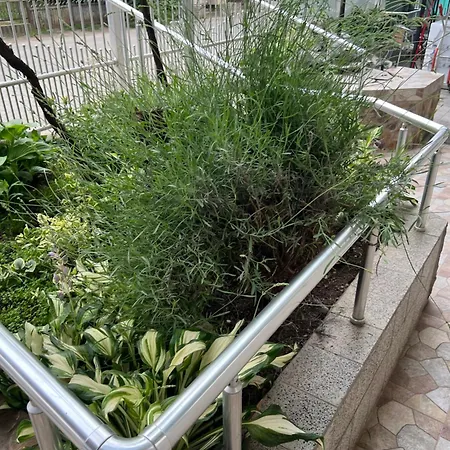 Apartment Slobo Velickovic Prokuplje