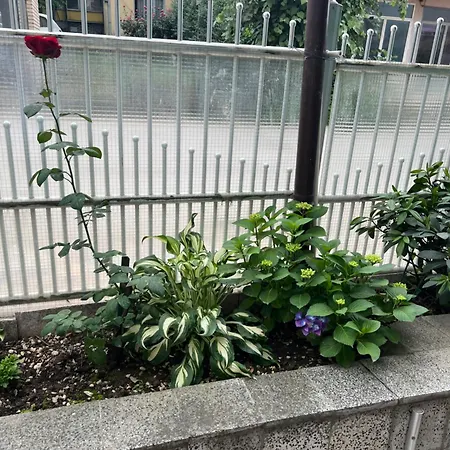 Lejlighed Slobo Velickovic