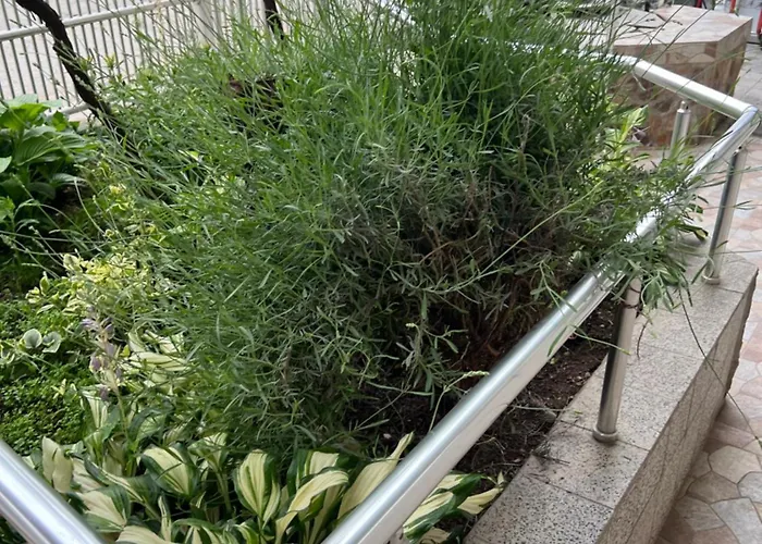 아파트 Slobo Velickovic Prokuplje