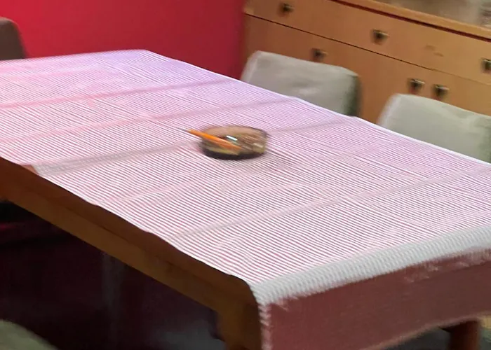 아파트 Slobo Velickovic Prokuplje