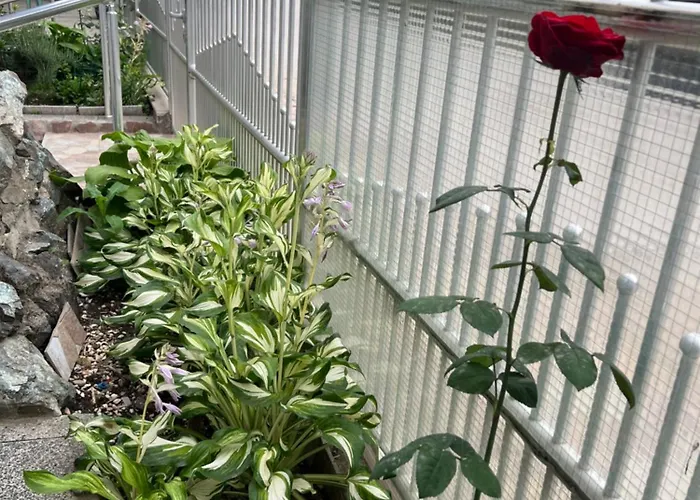 Slobo Velickovic 아파트 Prokuplje