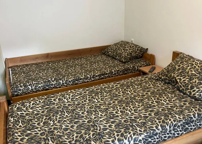 Slobo Velickovic 아파트 *