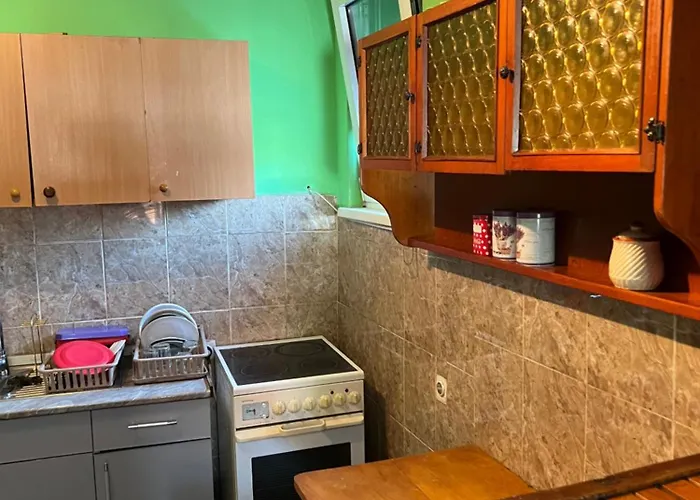 Slobo Velickovic 아파트 *