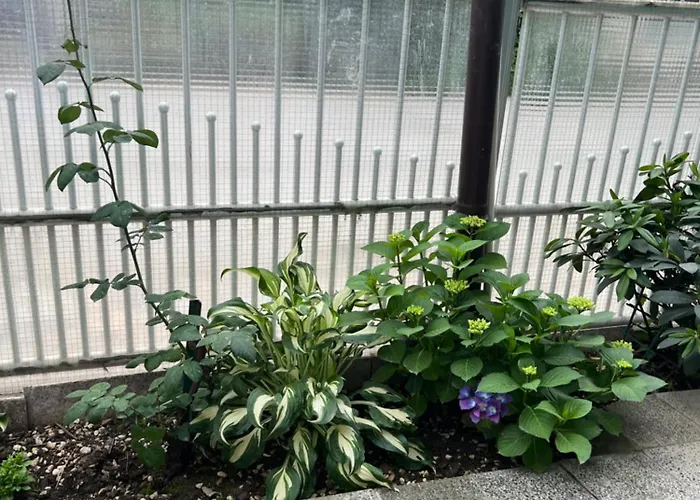 아파트 Slobo Velickovic